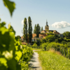 Vignoble varois, un magnifique lieu pour votre mariage